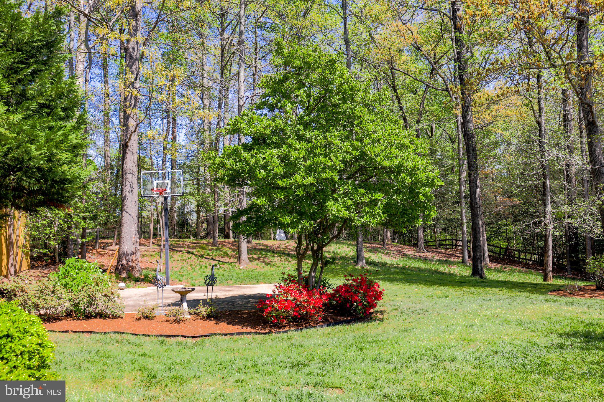 3254 Breckenridge Way Riva, MD 21140 - Photo 48 of 65 Serene backyard oasis with greenery.