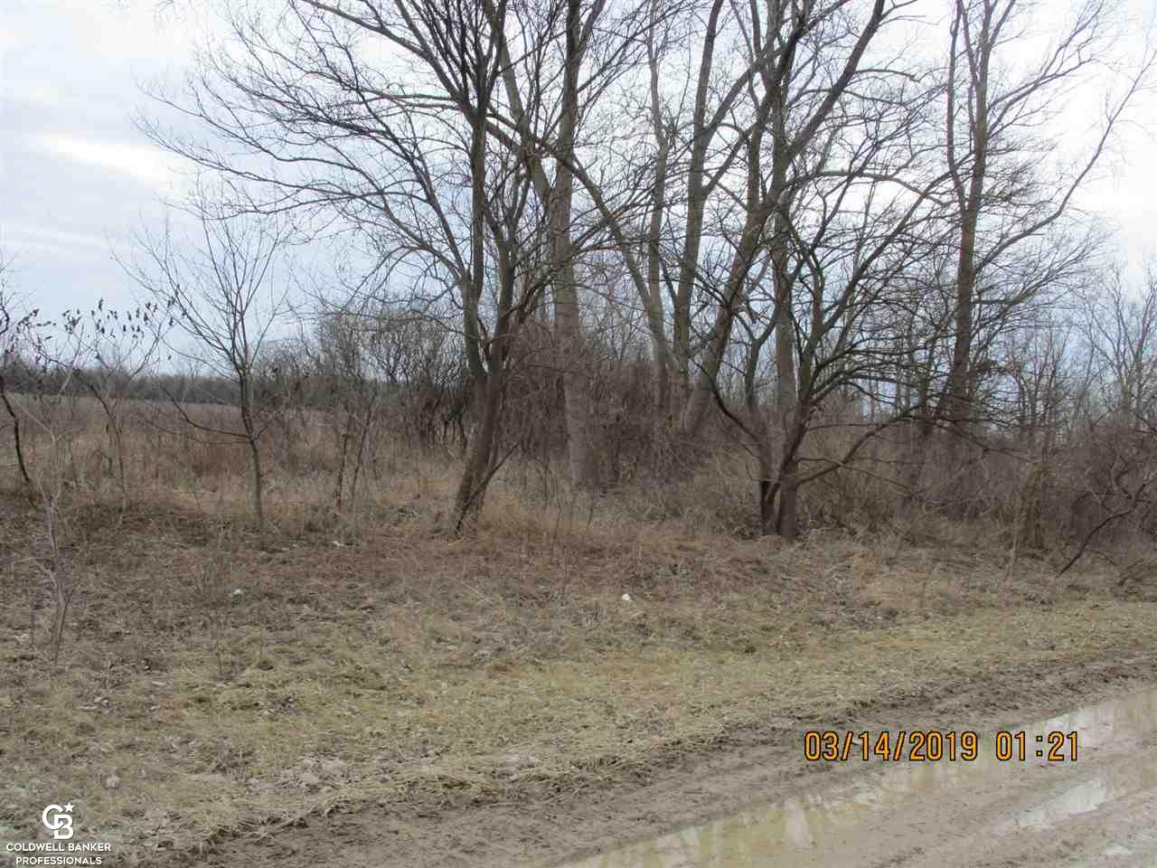 0 Armada Ridge Parcel 6 Road Richmond, MI 48062 - Photo 4 of 10