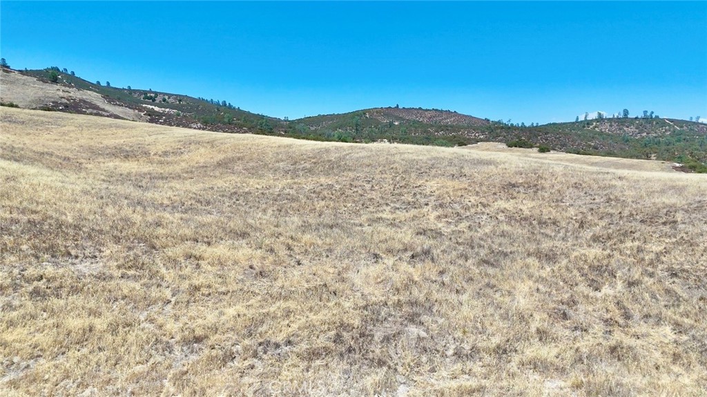 70260 Jolon Road Bradley, CA 93426 - Photo 13 of 22