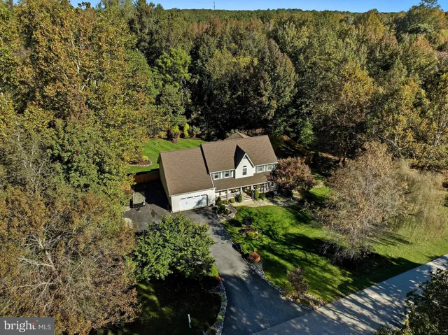 a view of a tree with a yard