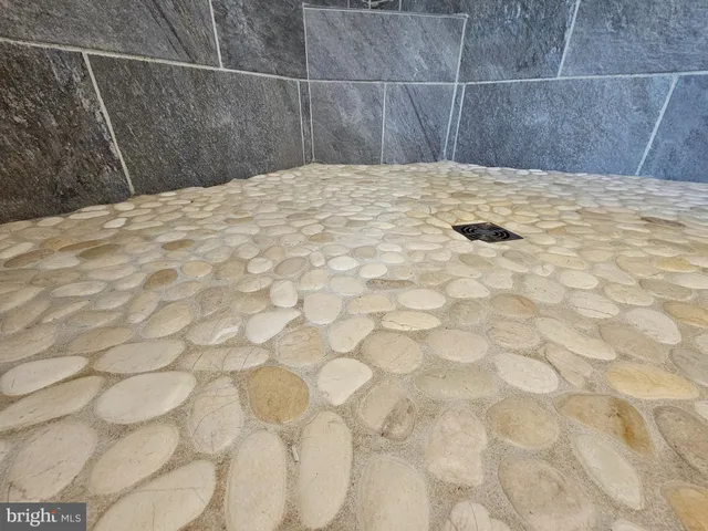 a view of a backyard with potted plants and large tree