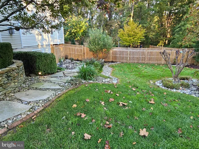 a view of a tree with a yard