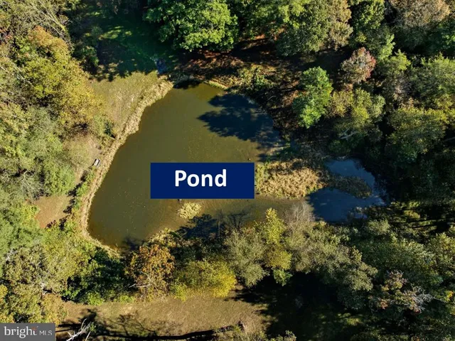 a view of a garden with a house