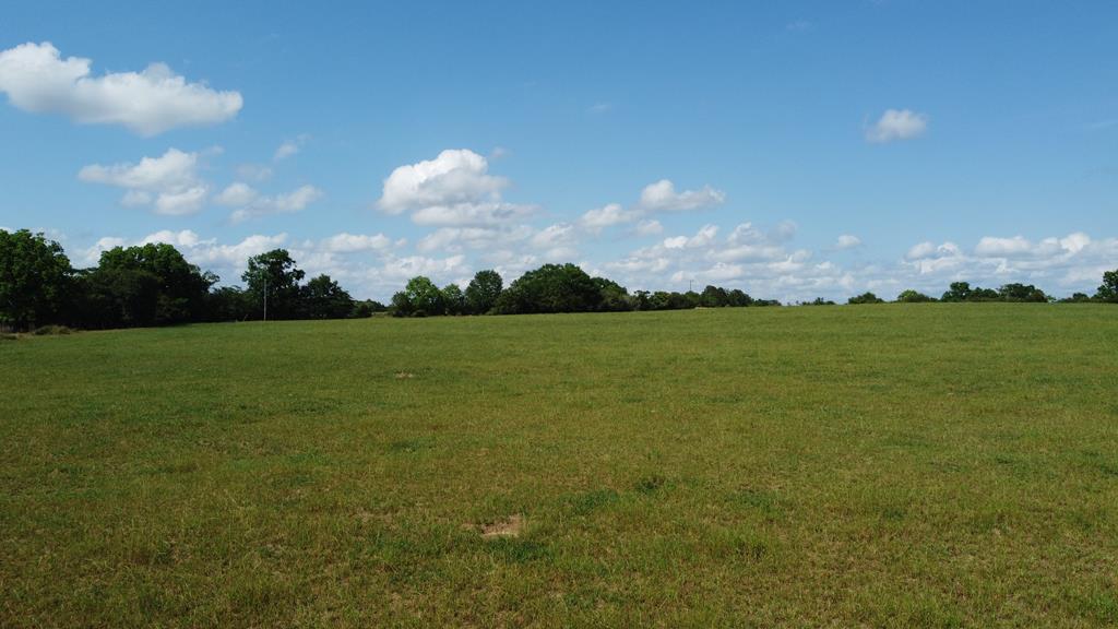 0 County Road 661 Samson, AL 36477 - Photo 9 of 11