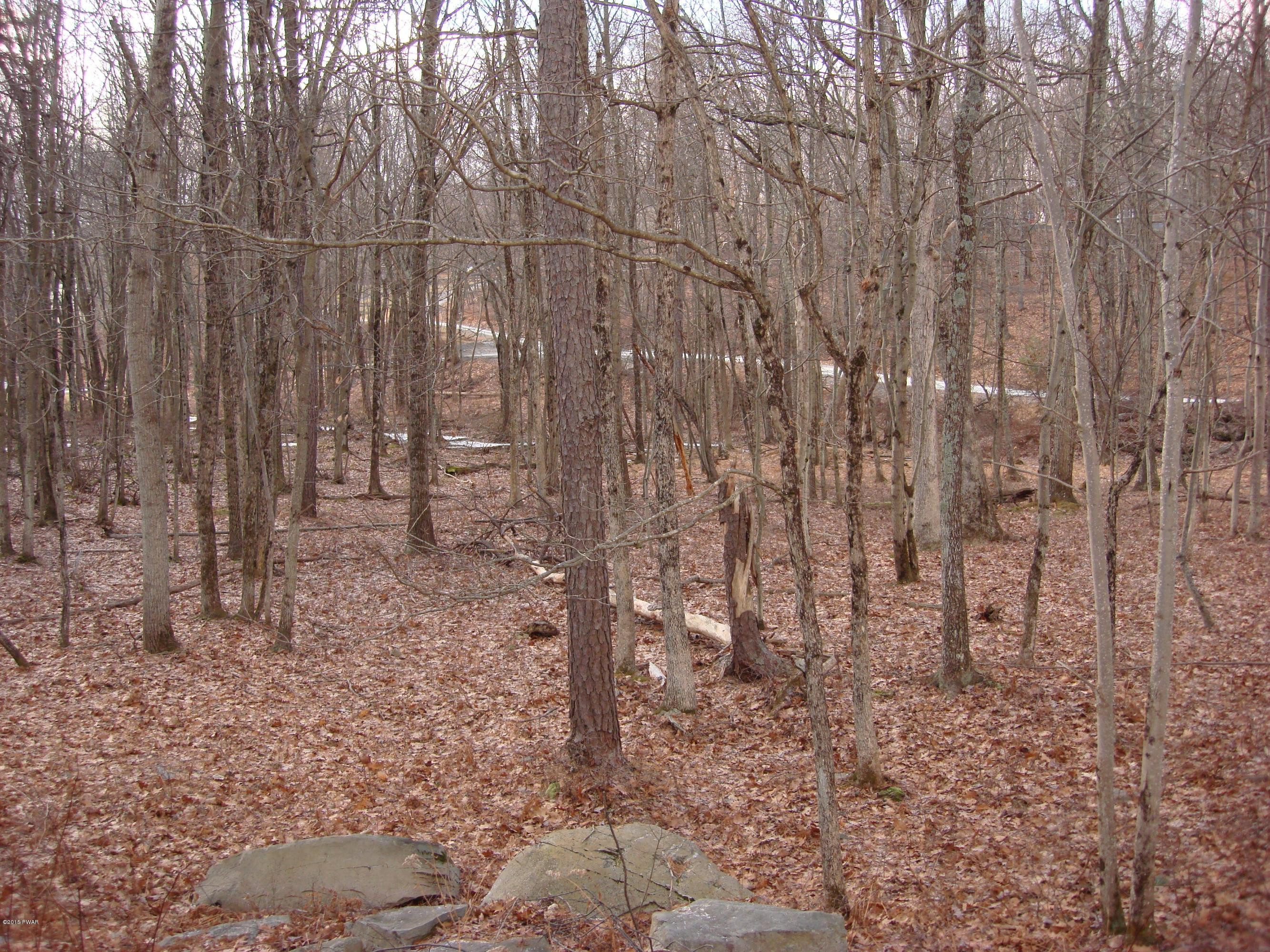 108 Springbrook Court Shohola, PA 18458 - Photo 93 of 97 Gallery Image 93