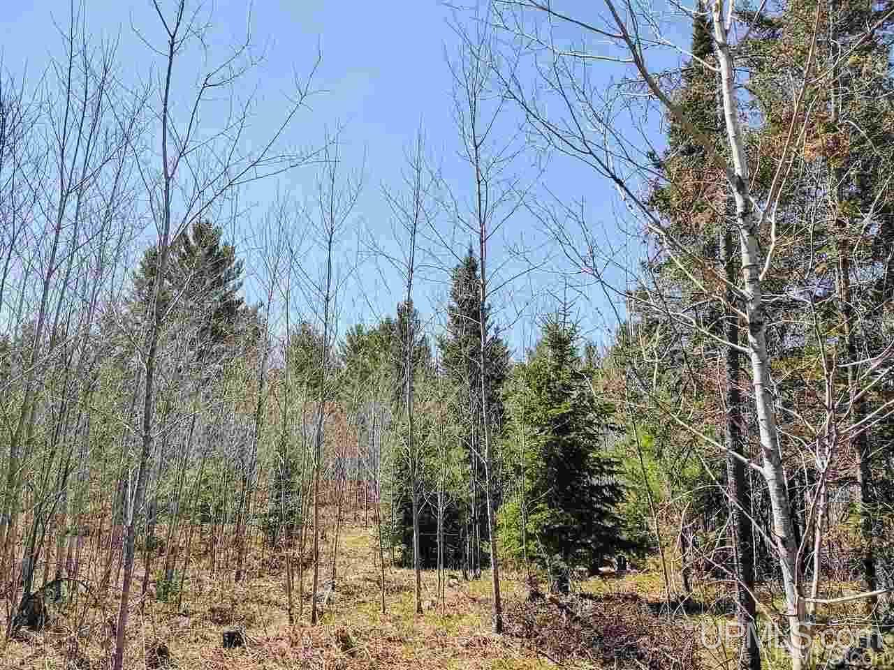 Tbd Forest Hwy 16 Road Iron River, MI 49935 - Photo 46 of 49