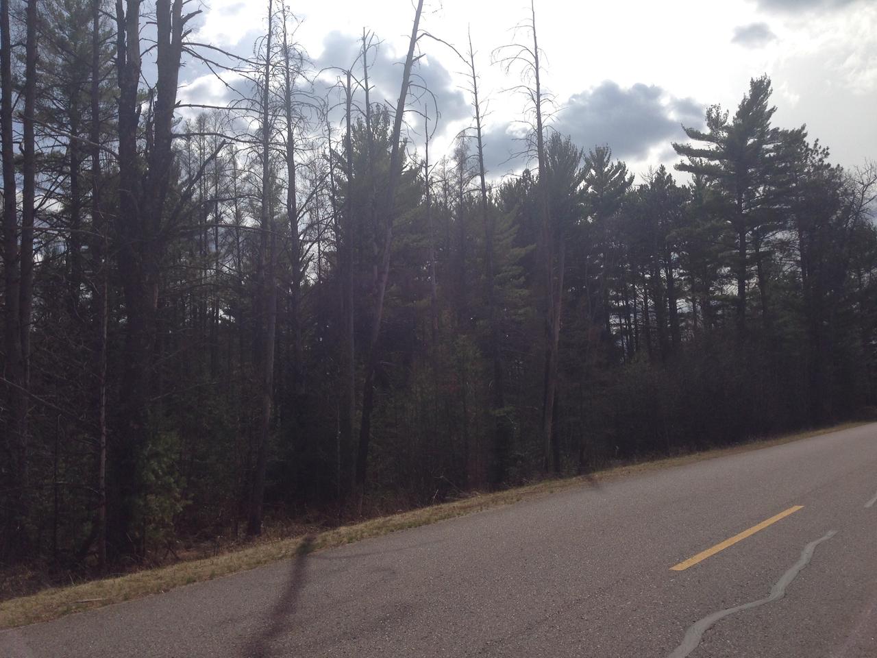 On Muskellunge Lake Road Tomahawk, WI 54487 - Photo 5 of 8 Gallery Image 5