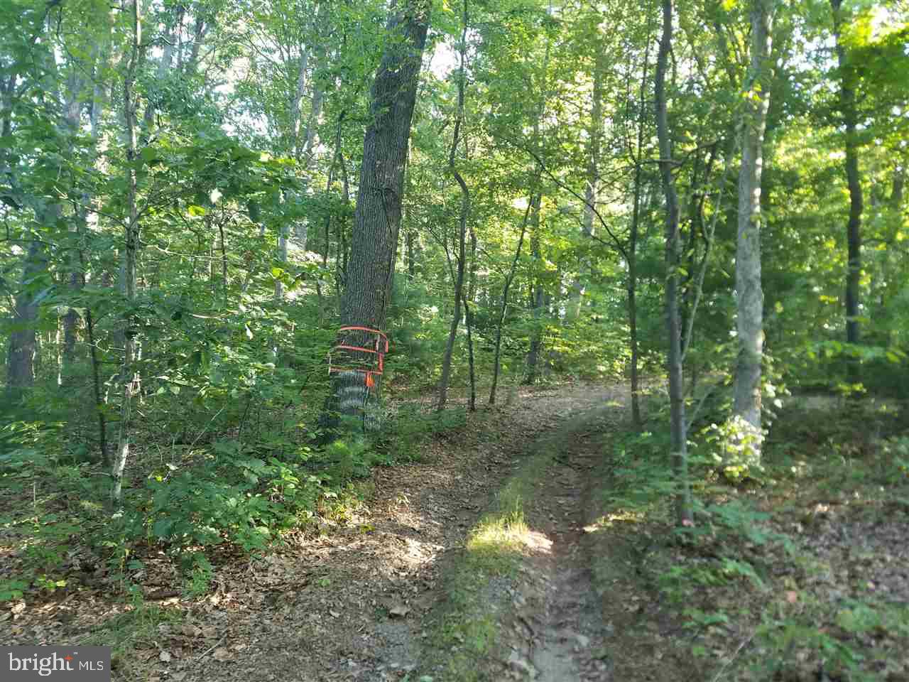 Lot 1 Mitchell Road Newport, PA 17074 - Photo 1 of 7 Gallery Image 1