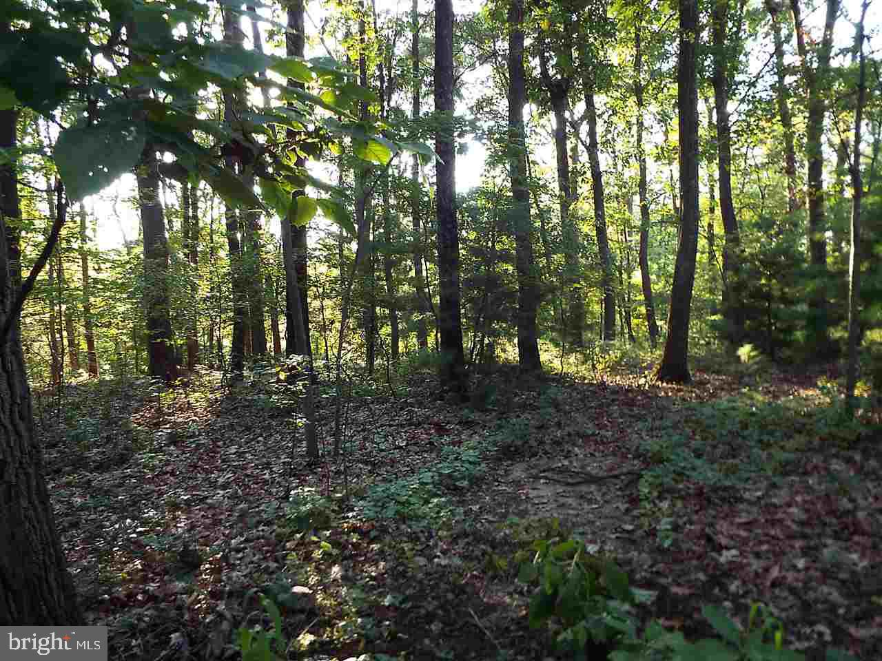 Lot 1 Mitchell Road Newport, PA 17074 - Photo 3 of 7 Gallery Image 3