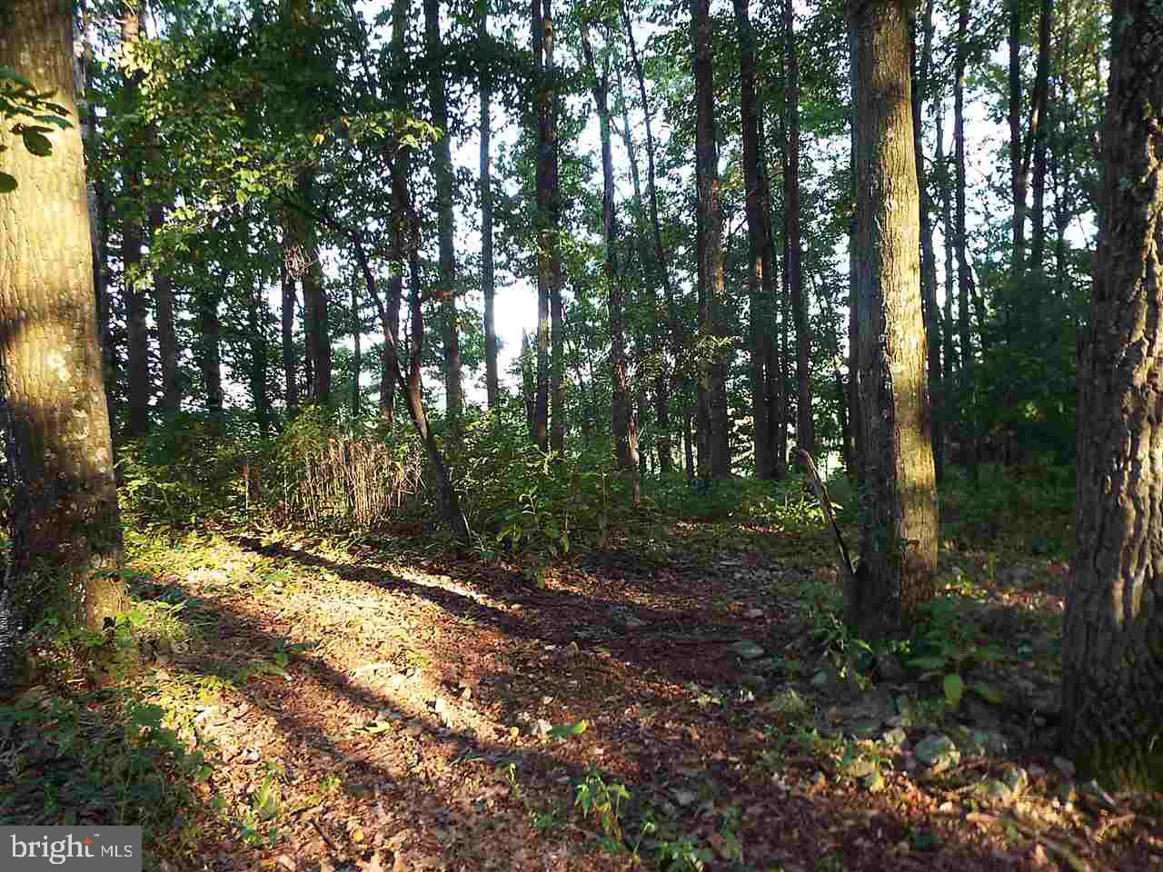Lot 1 Mitchell Road Newport, PA 17074 - Photo 4 of 7 Gallery Image 4