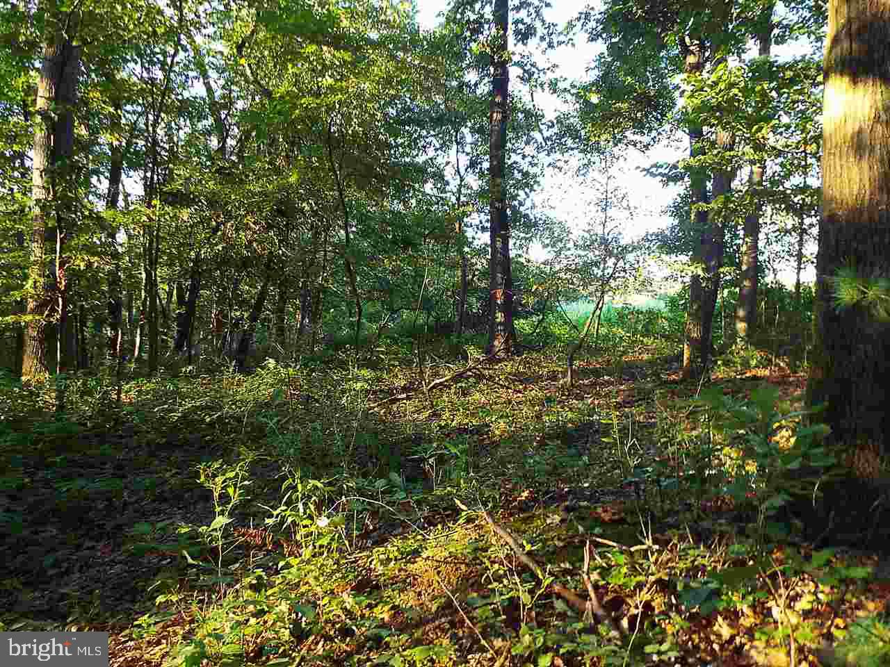 Lot 1 Mitchell Road Newport, PA 17074 - Photo 5 of 7 Gallery Image 5
