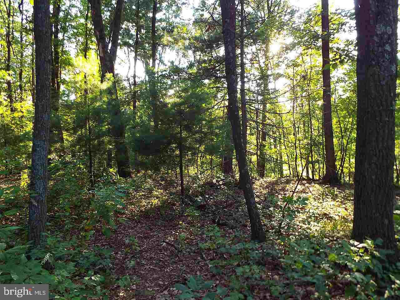Lot 1 Mitchell Road Newport, PA 17074 - Photo 7 of 7 Gallery Image 7