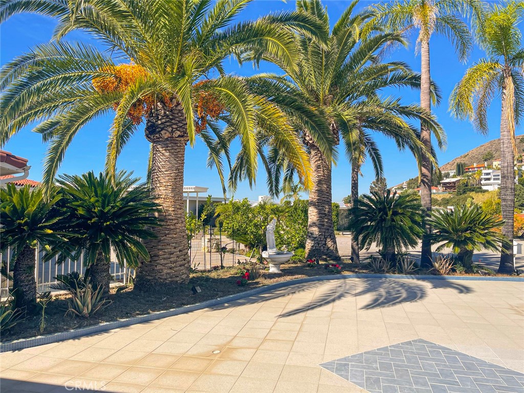 1981 Deermont Road Glendale, CA 91207 - Photo 20 of 49 a view of a palm tree with a yard