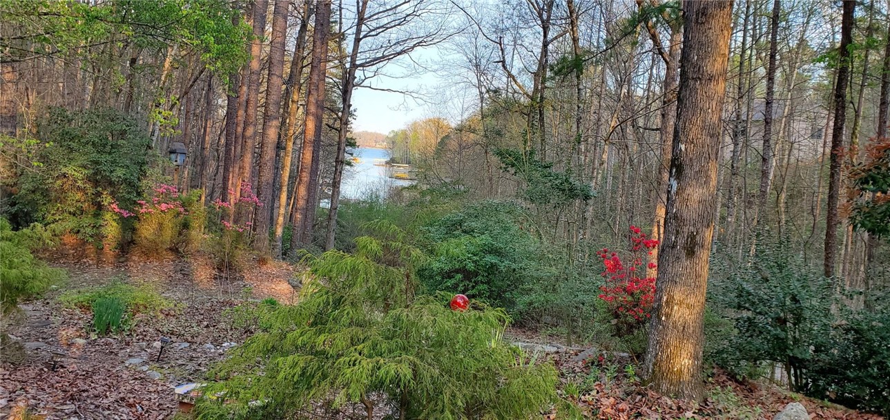 15 Rip Tide Court Salem, SC 29676 - Photo 3 of 47 Gallery Image 3