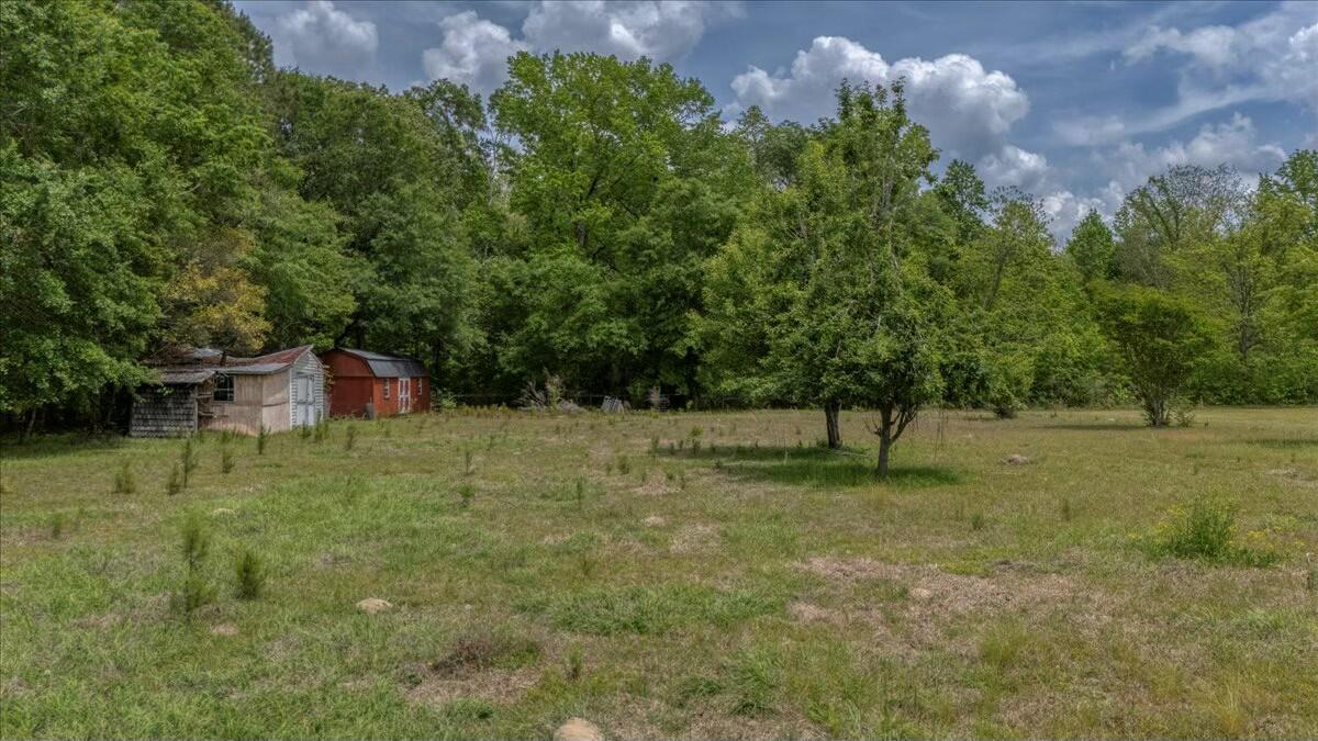 492 Red Oak Road Cottageville, SC 29435 - Photo 5 of 10 tempImage61pIeZ