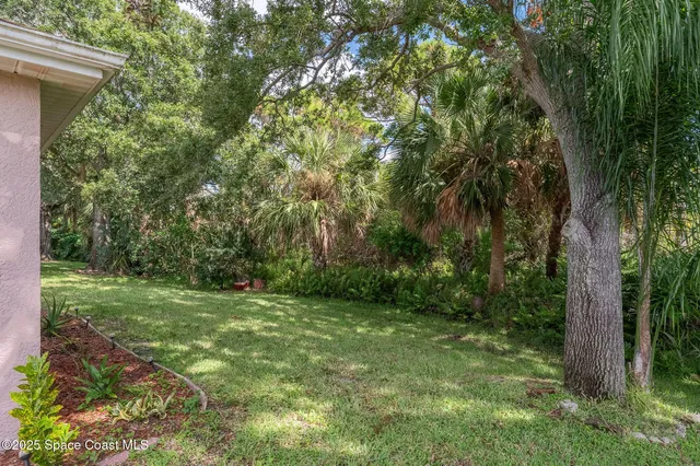 a view of a yard with a trees