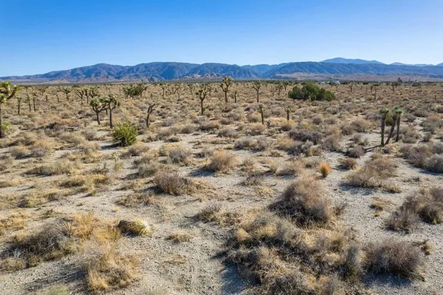 a view of lake and mountain