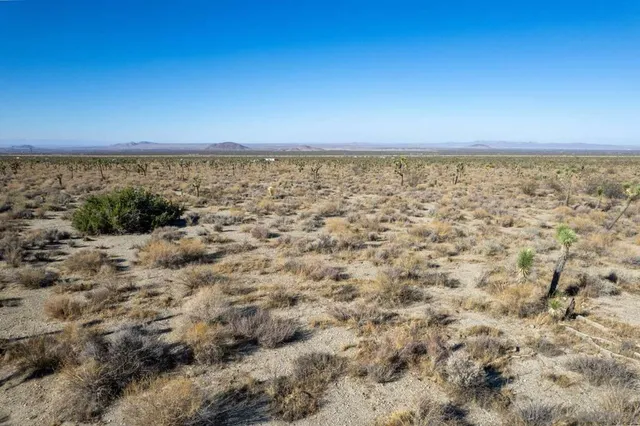 a view of a field with an ocean