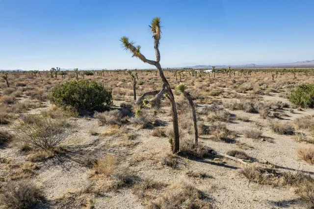 a view of an ocean beach