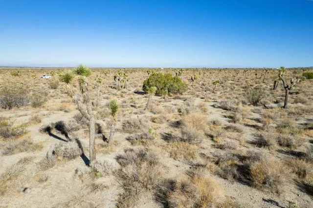 a view of a pool with a bench