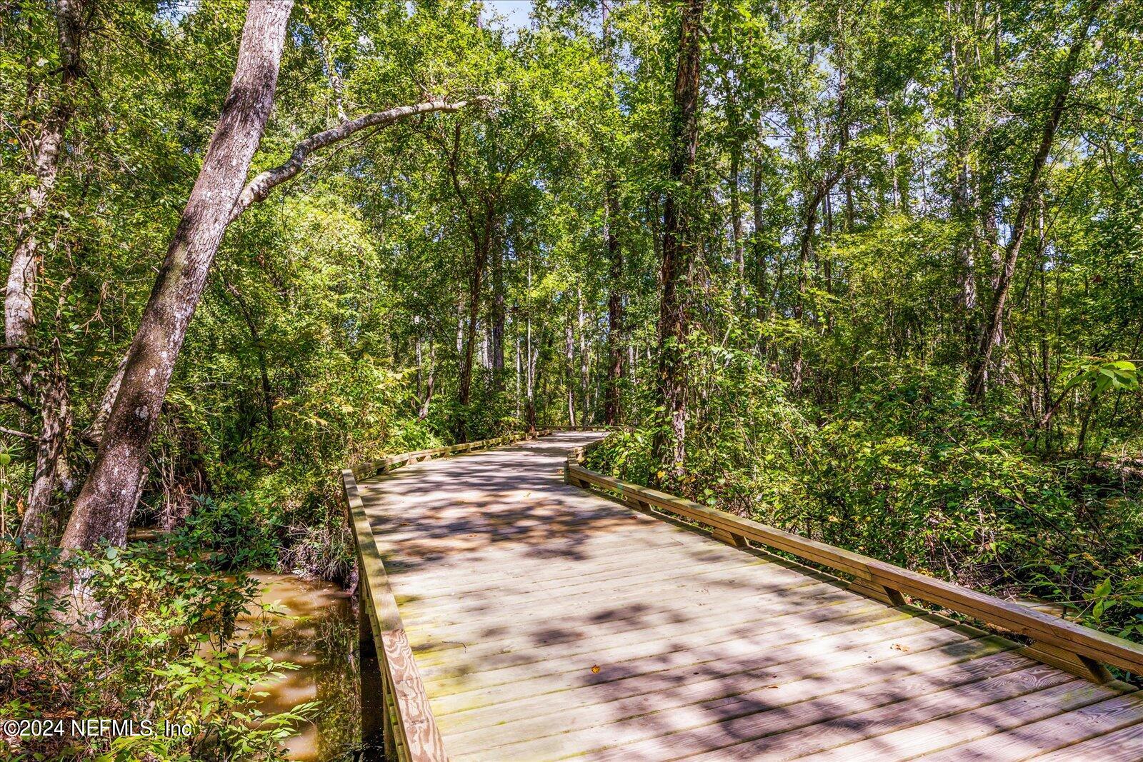 196 Ashbury Street St. Augustine, FL 32092 - Photo 32 of 35 a view of a backyard of the house