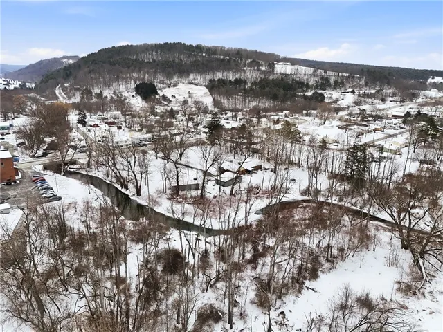 $315,000 | 27 East Tioga Street, Spencer, NY 14883