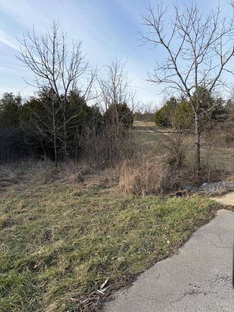 1266 Puckett Road Lawrenceburg, KY 40342 - Photo 2 of 6 IMG_9599