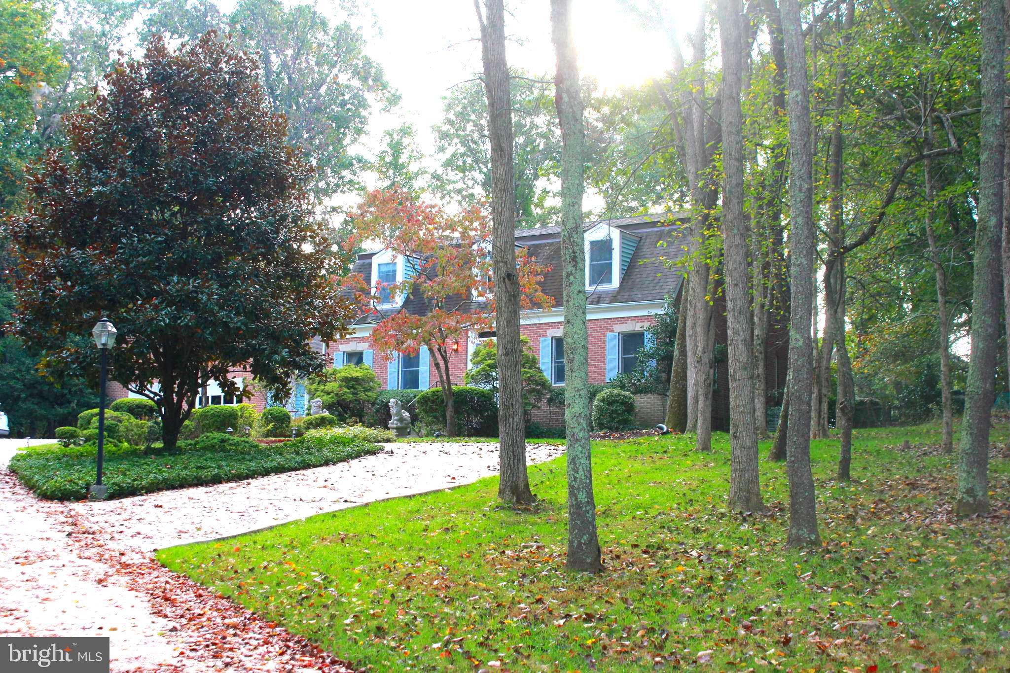 15709 Holly Grove Road Silver Spring, MD 20905 - Photo 4 of 47