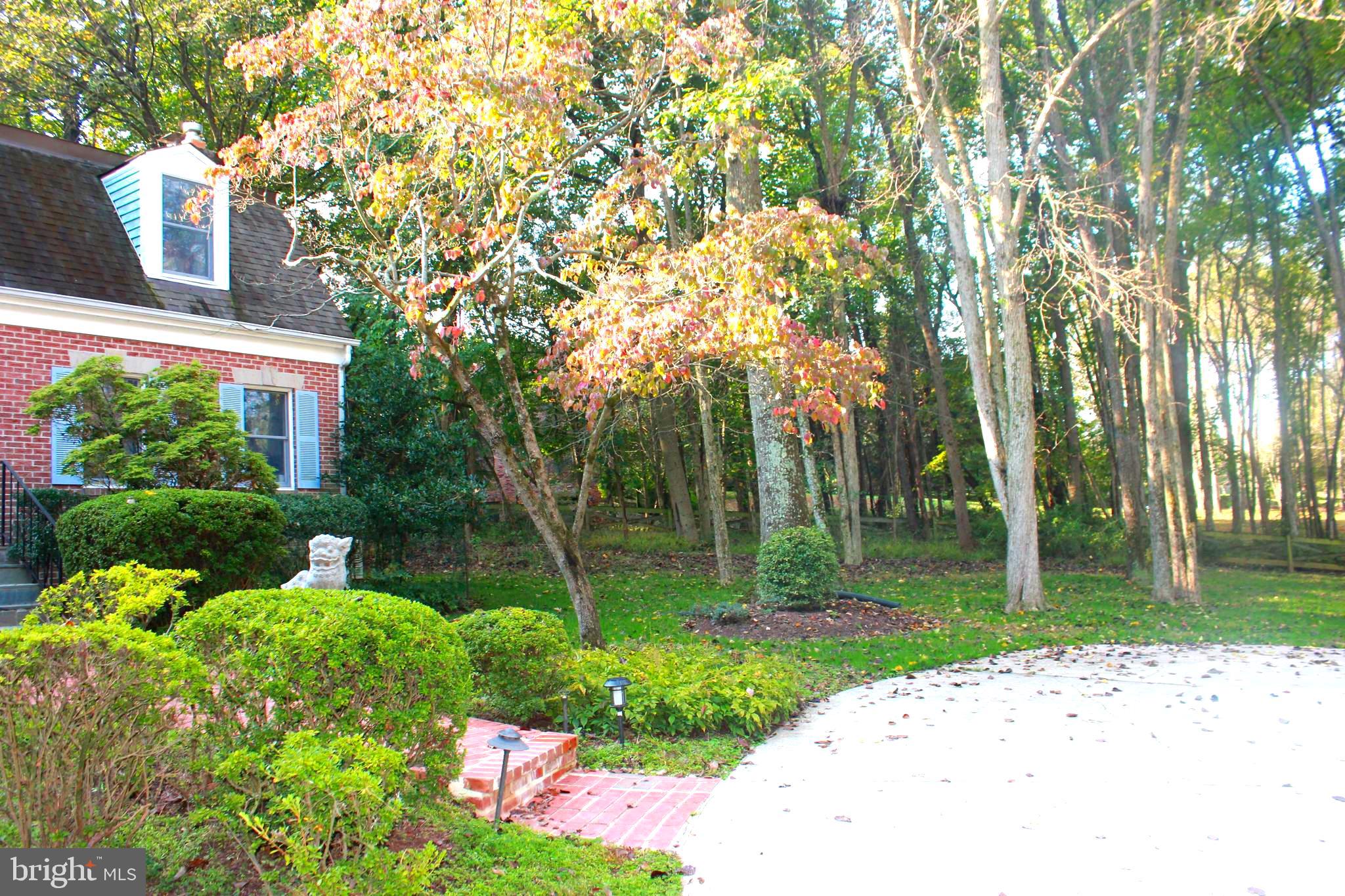 15709 Holly Grove Road Silver Spring, MD 20905 - Photo 40 of 47