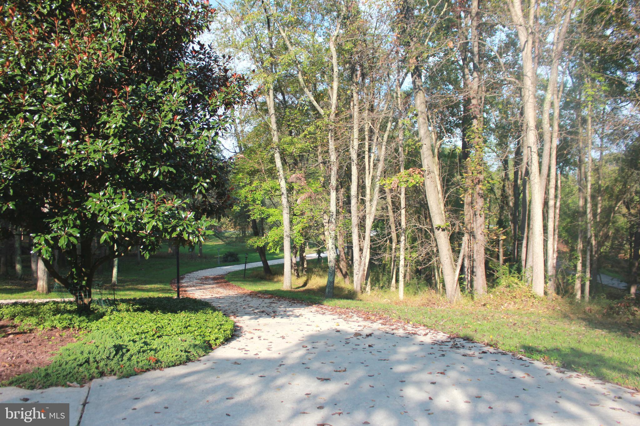 15709 Holly Grove Road Silver Spring, MD 20905 - Photo 8 of 47