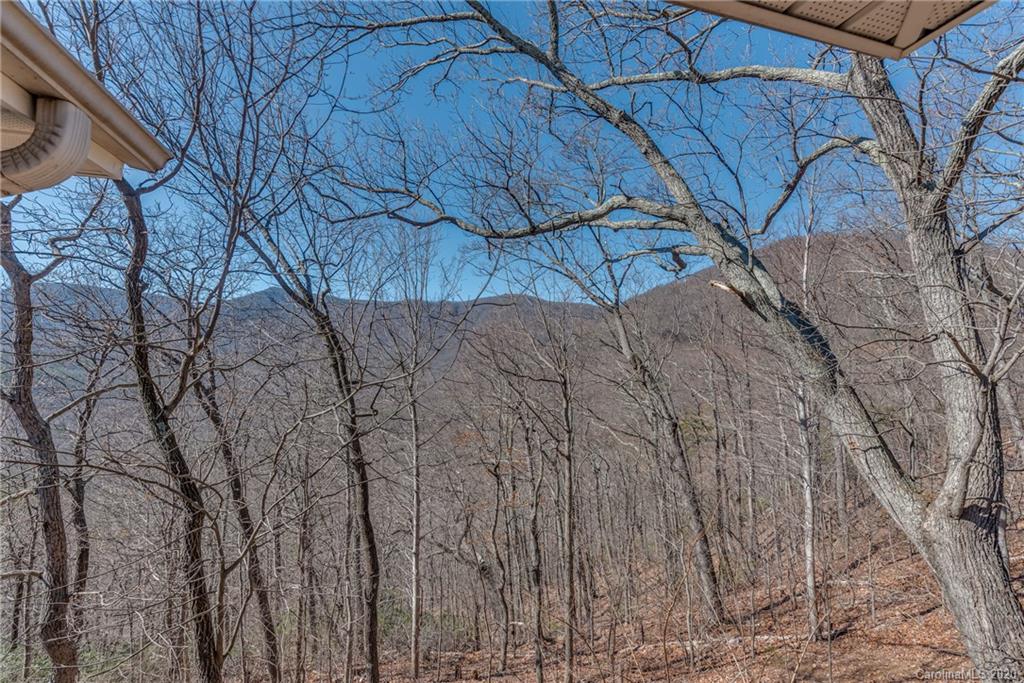 230 Devils Ridge Lane Tryon, NC 28782 - Photo 16 of 47