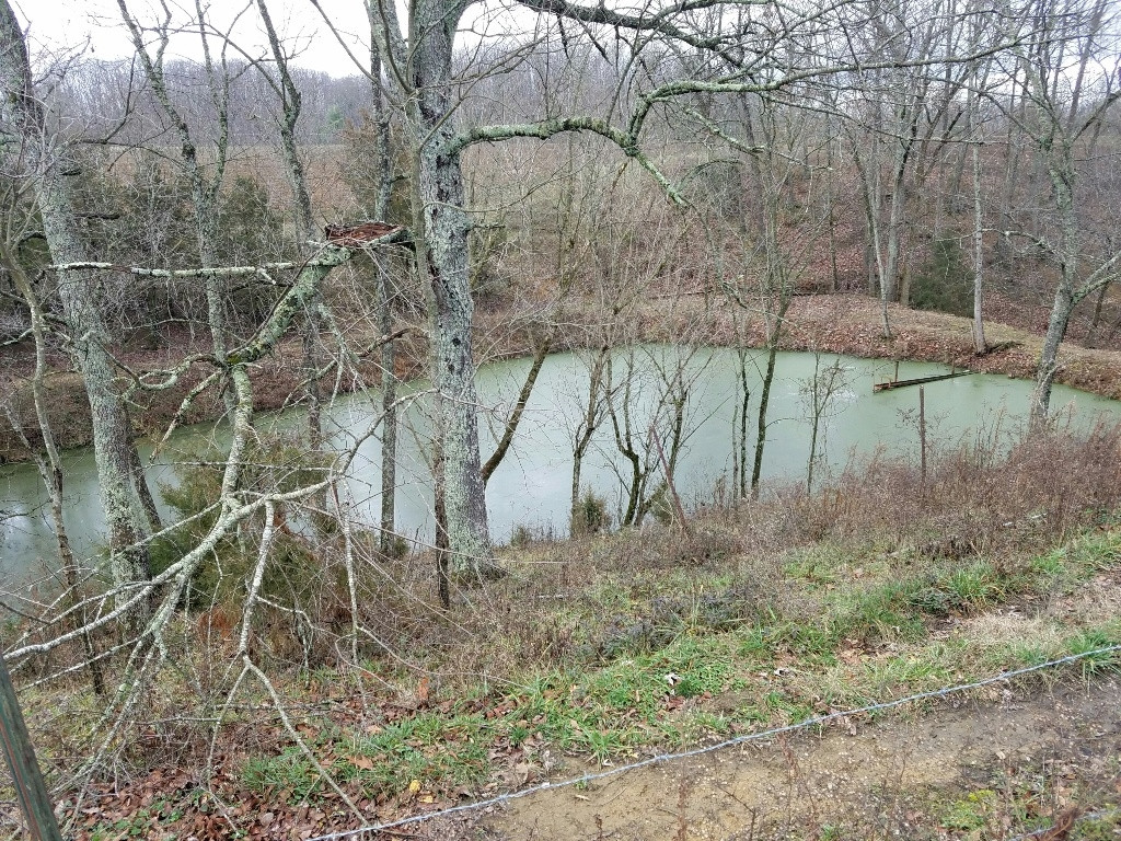 247 Watauga Flats Road Johnson City, TN 37601 - Photo 13 of 14 Photo 13