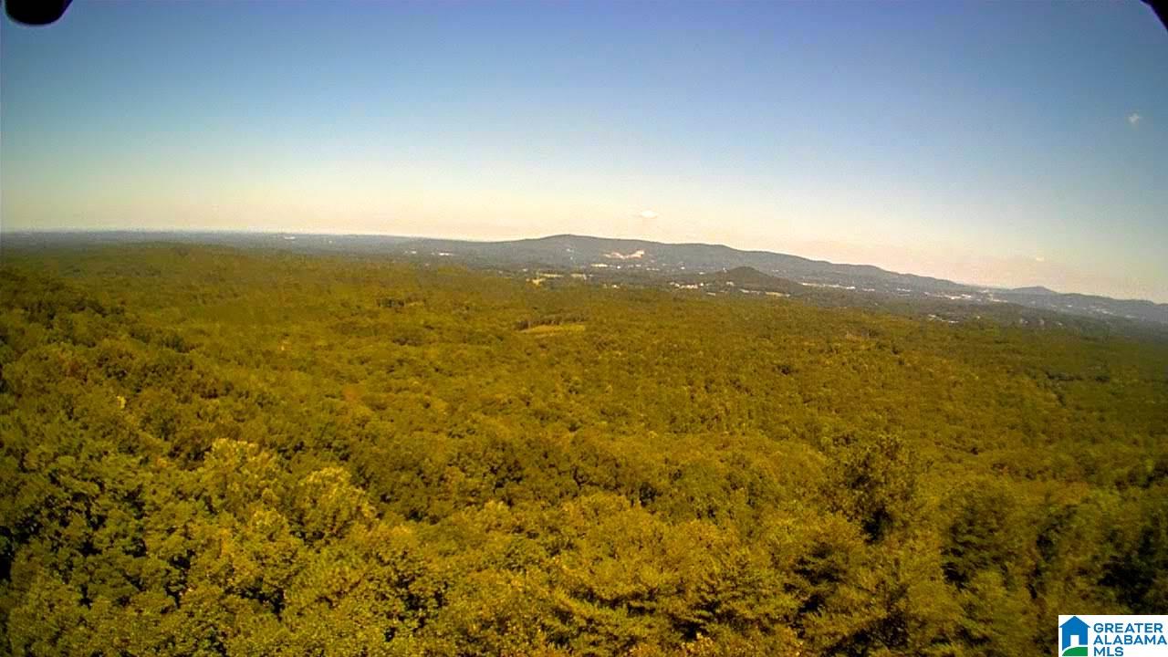 2565 Kentuck Road, Unit 4569 Oxford, AL 36203 - Photo 6 of 46