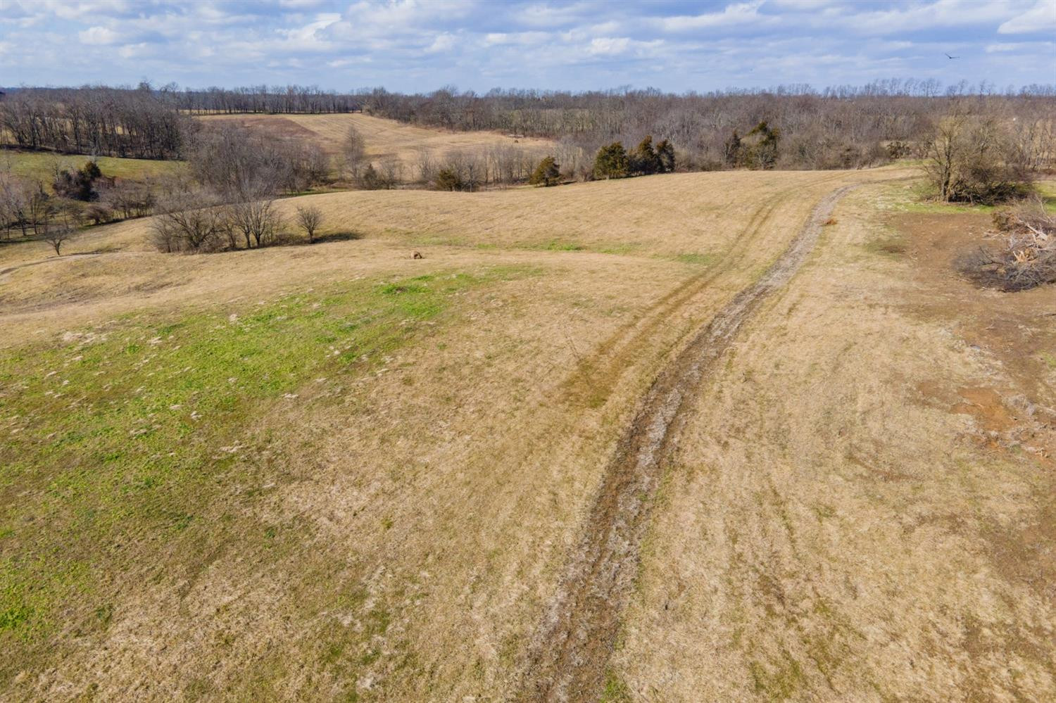 855 Manse Road Paint Lick, KY 40461 - Photo 18 of 22 Photo 18