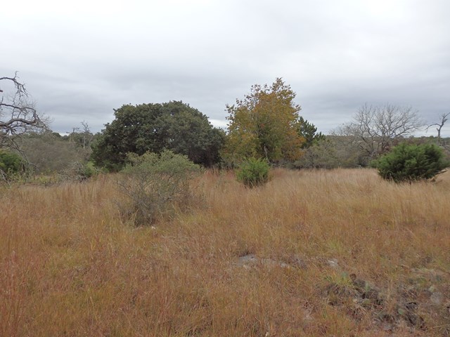 0 Spring Road, Unit 36 Fredericksburg, TX 78624 - Photo 1 of 1 Main View
