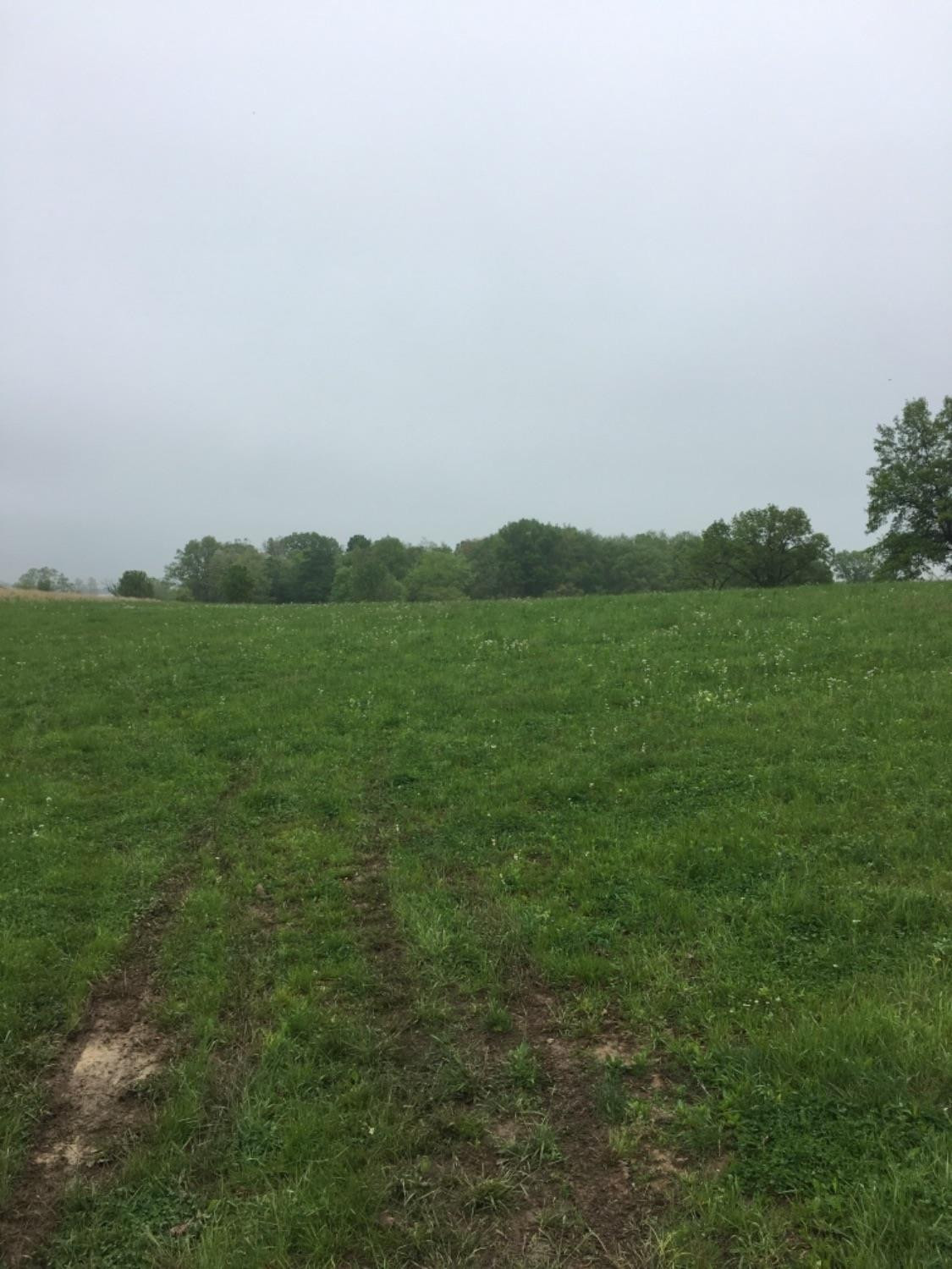 0 Graves Road Stamping Ground, KY 40379 - Photo 2 of 3 Listing Photo