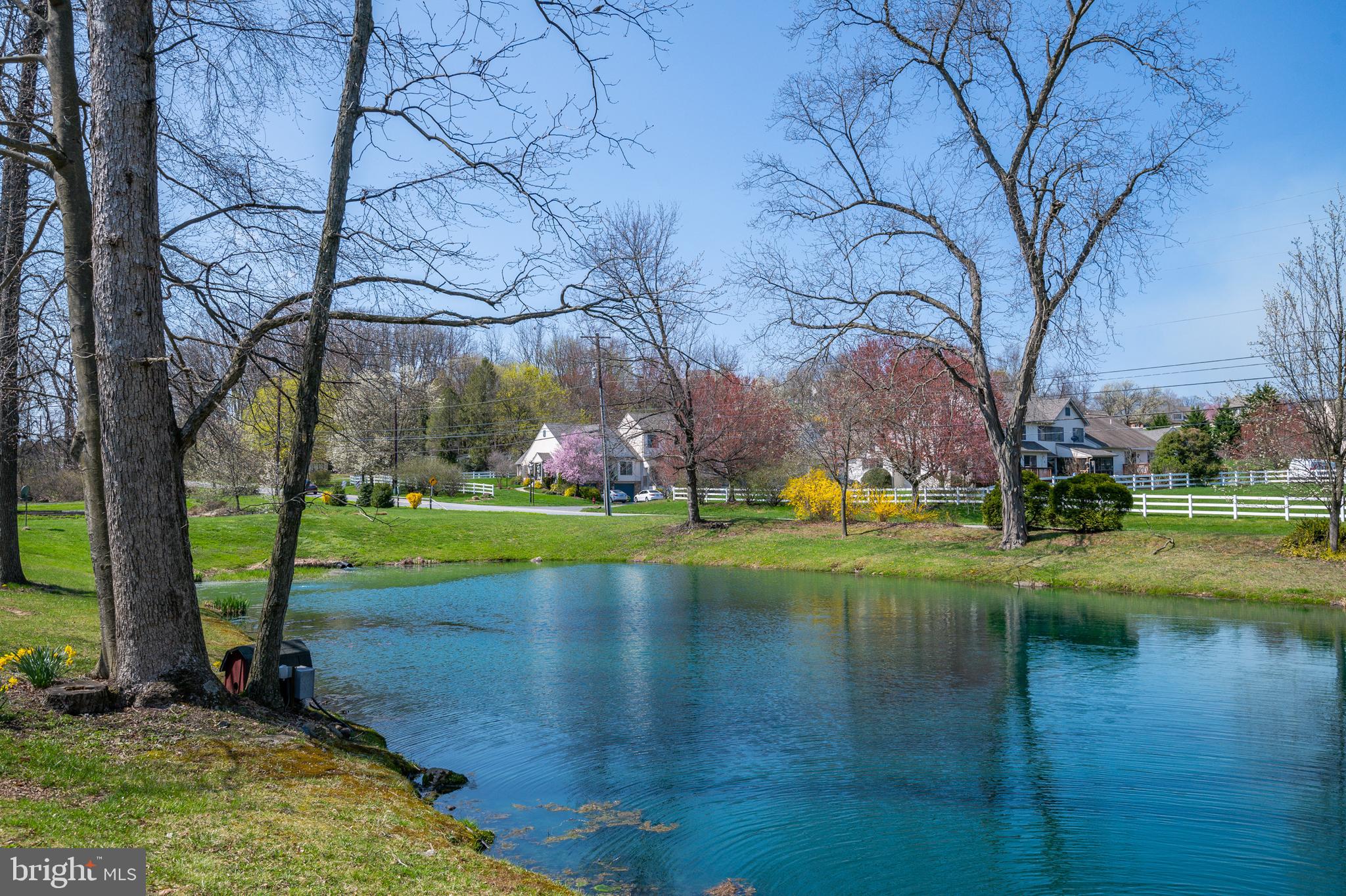 121 East Conestoga Road Elverson, PA 19520 - Photo 53 of 55 Peaceful and gorgeous