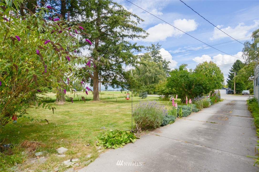 13392 Avon Allen Road Mount Vernon, WA 98273 - Photo 10 of 40 a view of a park with large trees