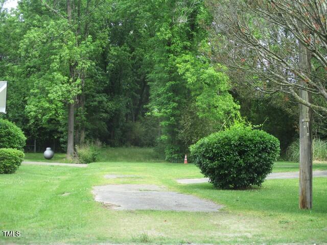 0 Pugh Road Clinton, NC 28328 - Photo 1 of 4 a view of a garden