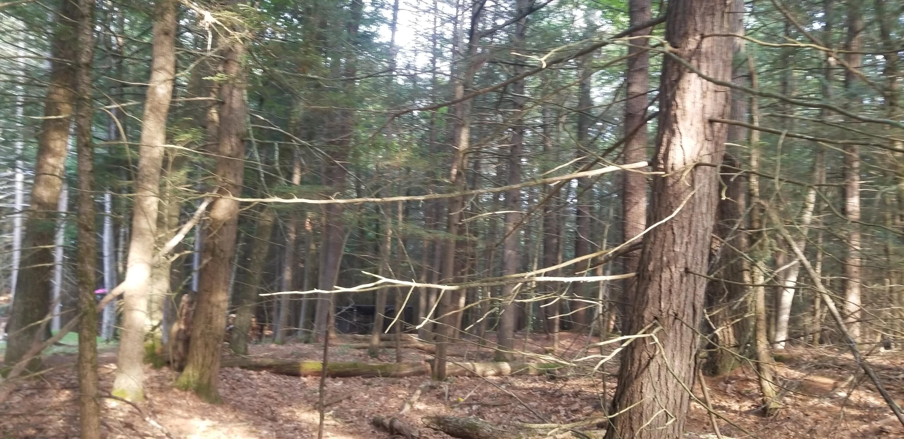 48 Johnson Road Windham, ME 04062 - Photo 8 of 13 LOT