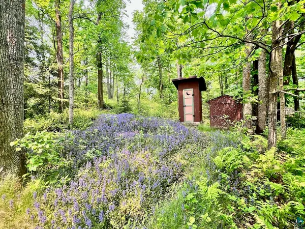 $325,000 | Tbd Tbd Pelican Lake Island, Orr, MN 55771