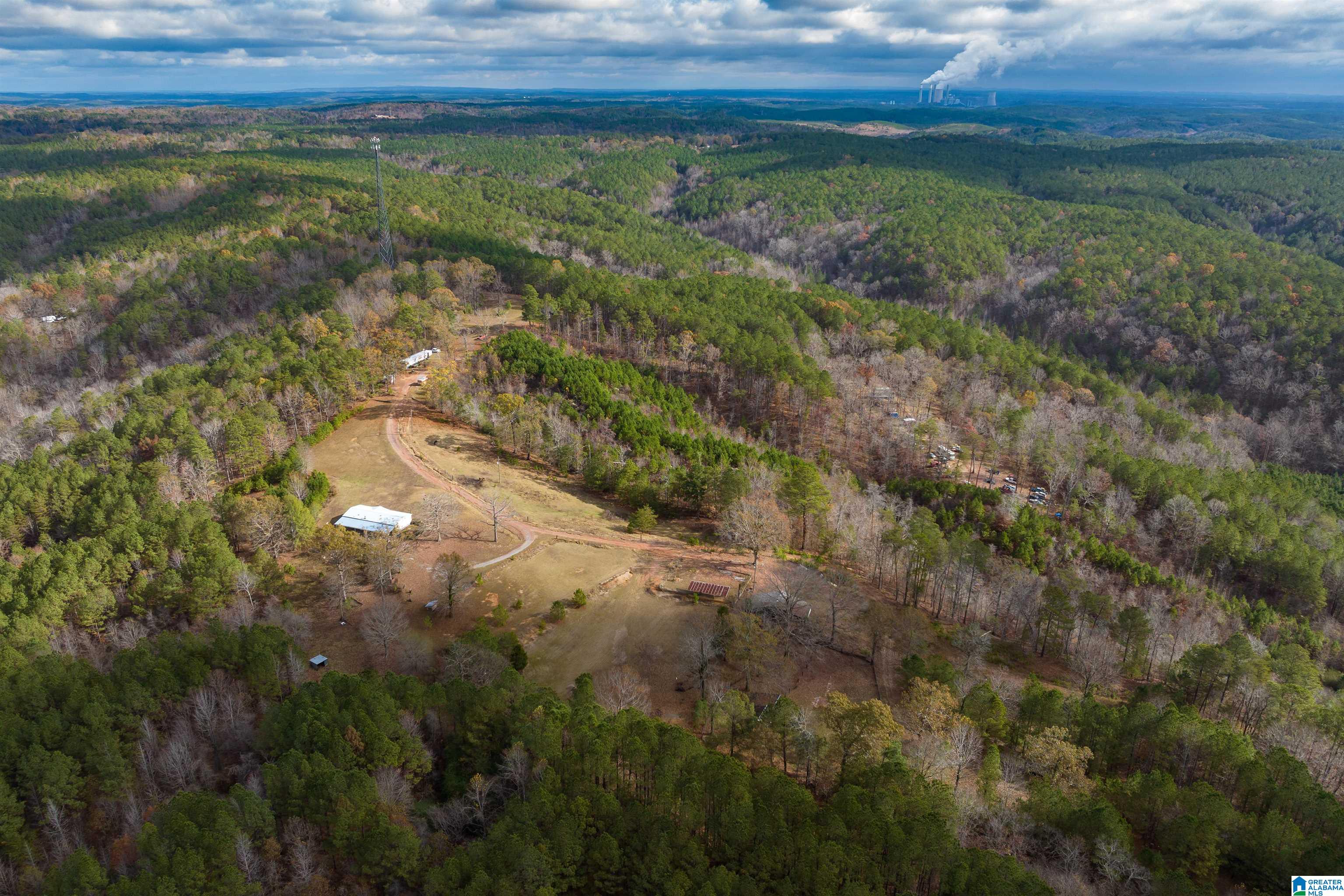 2930 Pridmore Road Quinton, AL 35130 - Photo 28 of 46