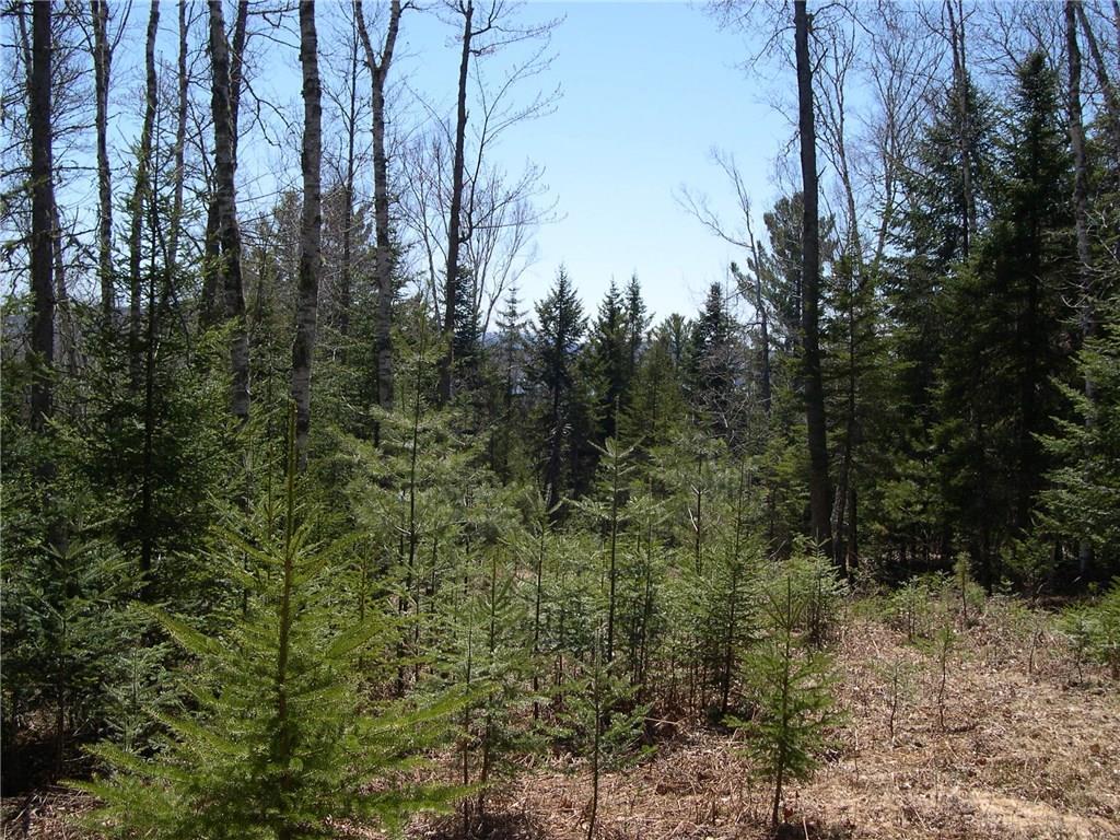 Lot 5 Manor Woods Road Rangeley, ME 04970 - Photo 1 of 14 potential Rangeley Lake views
