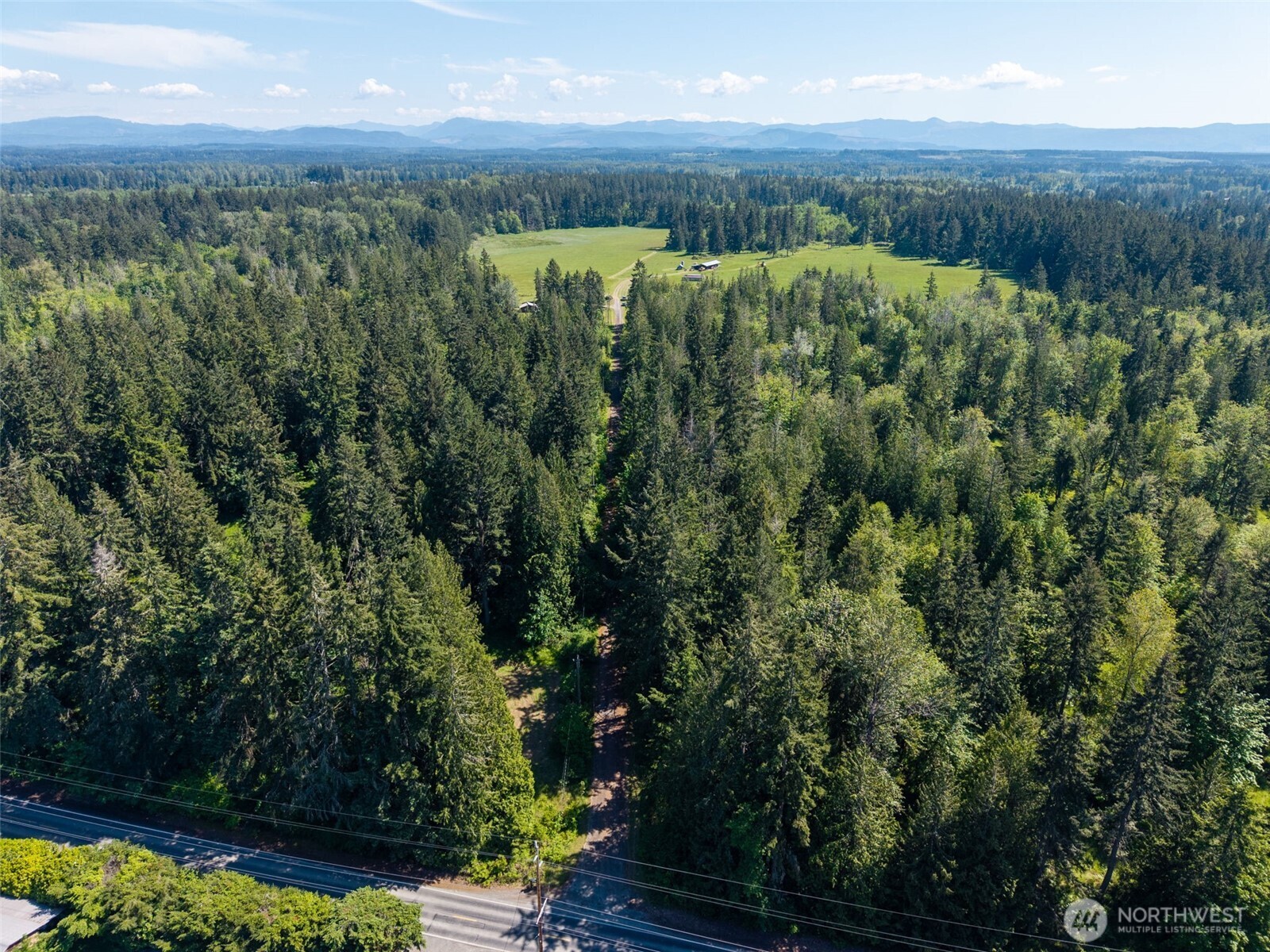1716 304th Street East Roy, WA 98580 - Photo 6 of 21 a view of a green field with lots of bushes