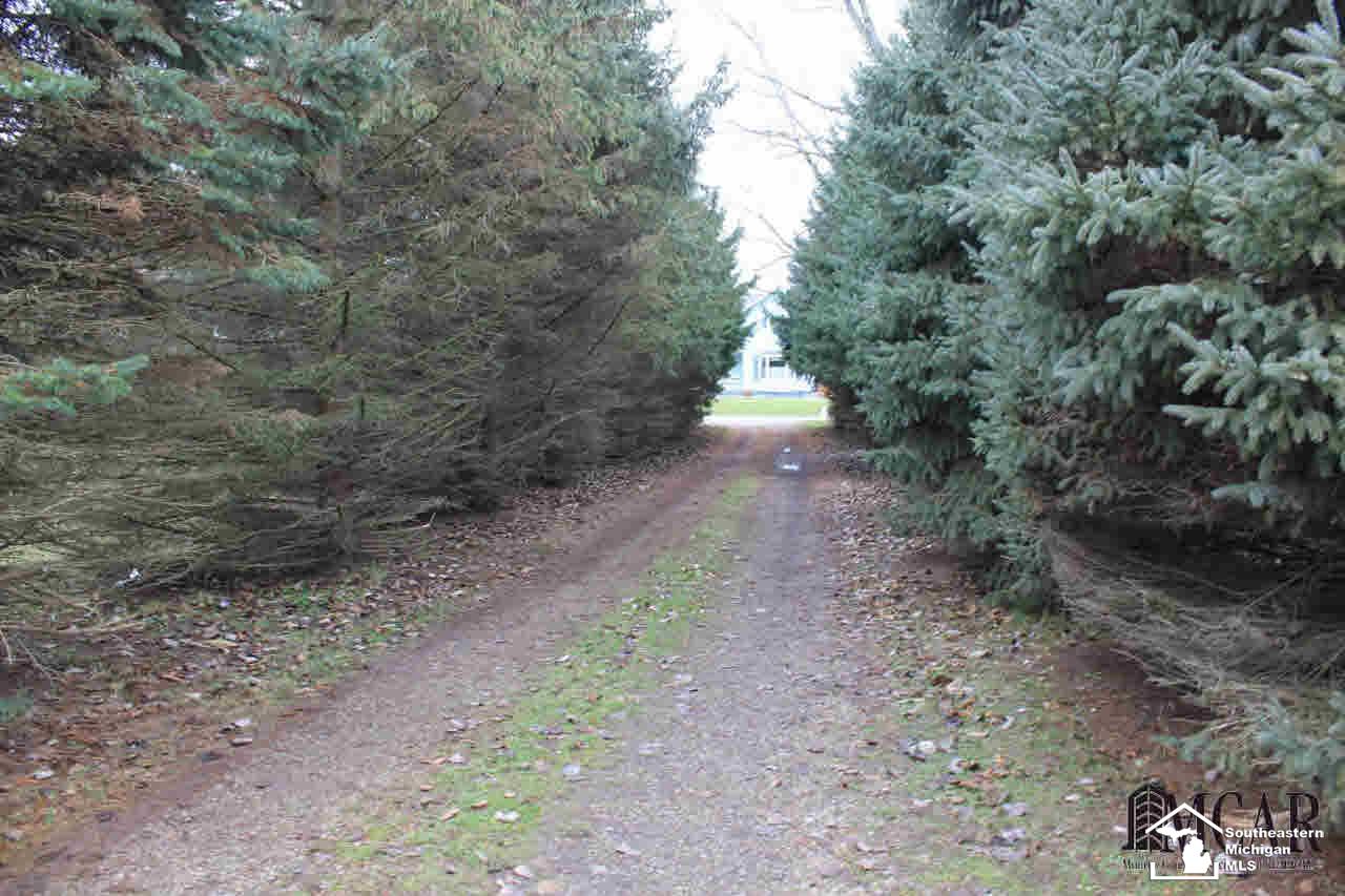 5605 Alternate Road Petersburg, MI 49270 - Photo 22 of 26