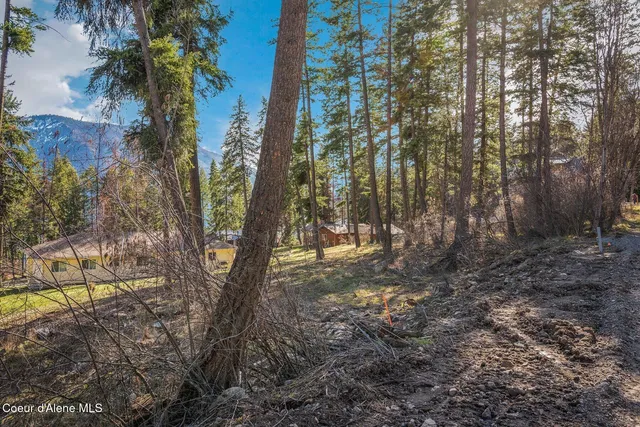 $274,000 | Nka North Terrace Drive, Bayview, ID 83803