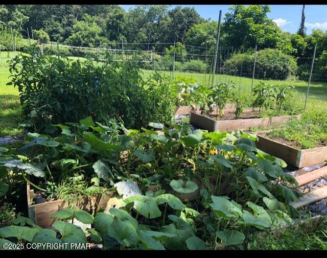 280 Coolbaugh Road East Stroudsburg, PA 18302 - Photo 38 of 40 a view of a garden with plants
