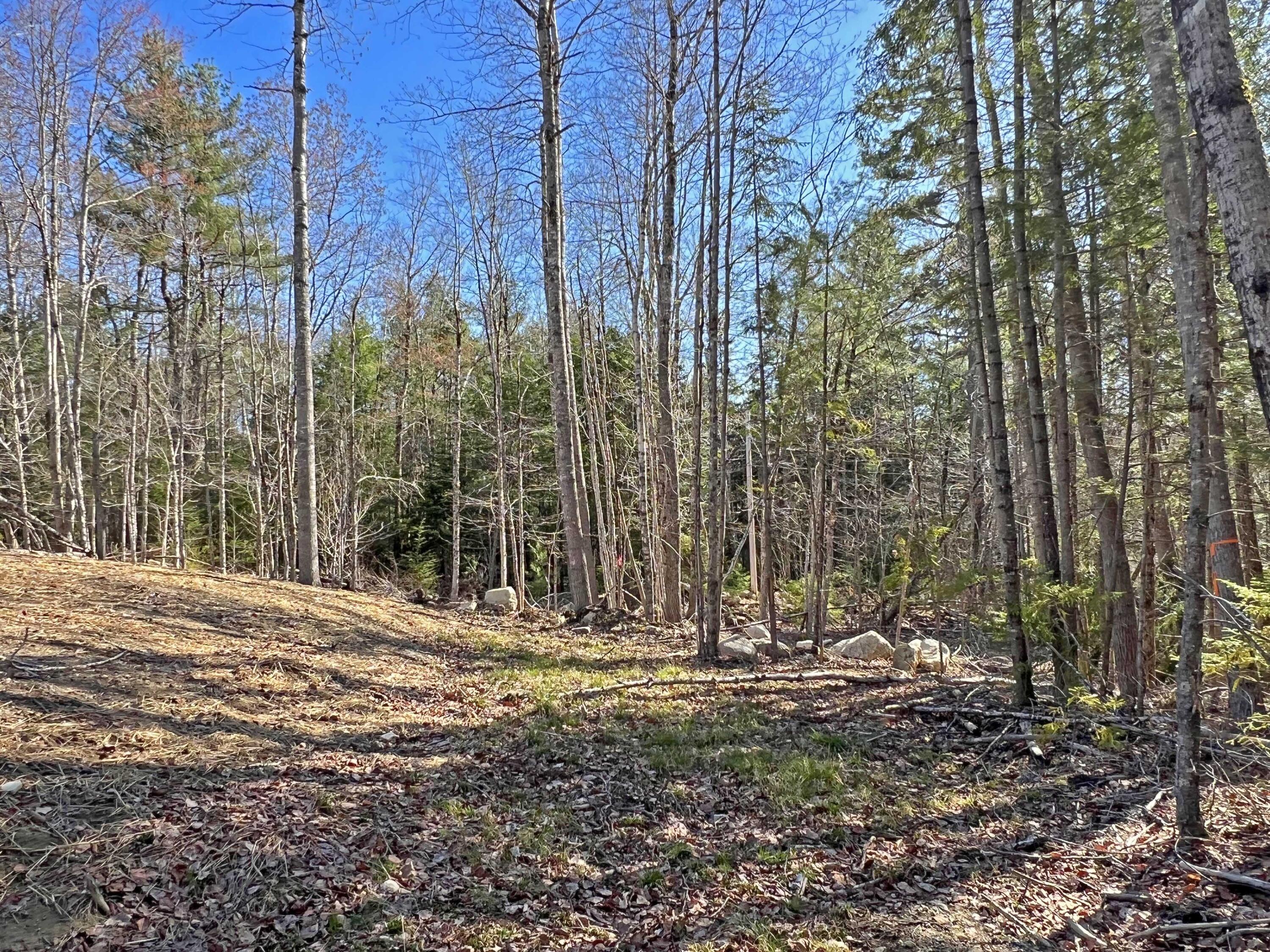 294 Otis Road Otis, ME 04605 - Photo 17 of 18 3c