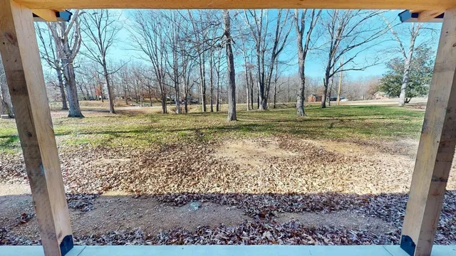 a view of yard with tree