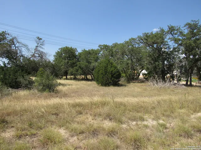 a view of a field with trees in the background